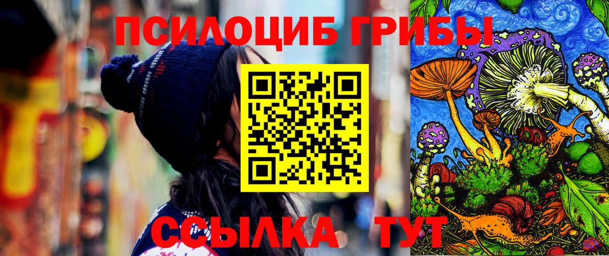 Псилоцибиновые грибы Psilocybe Северск