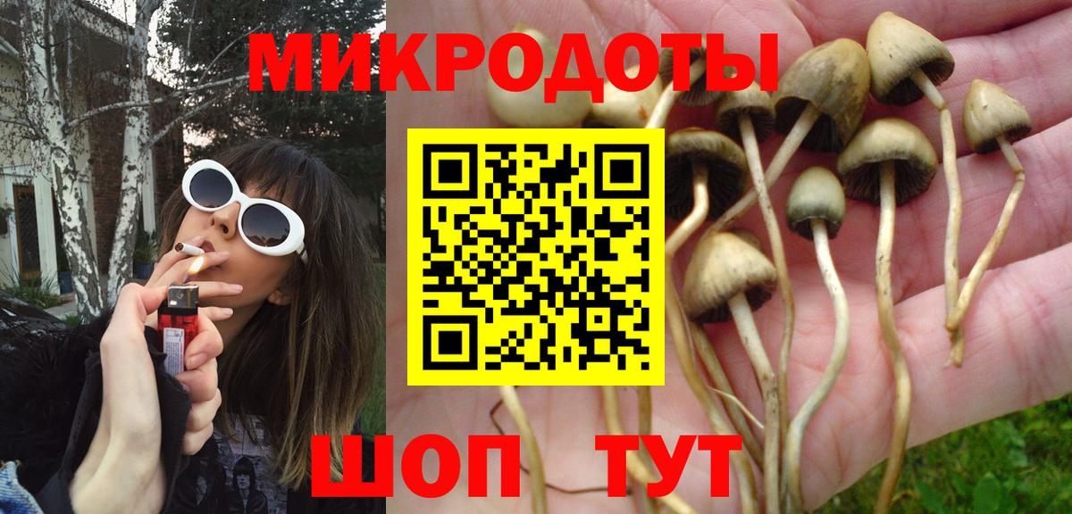 Псилоцибиновые грибы прущие грибы  Псилоцибиновые грибы Cubensis  Вход с VPN  Северск 
